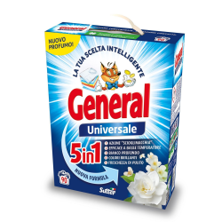 Detergent Pudra General...