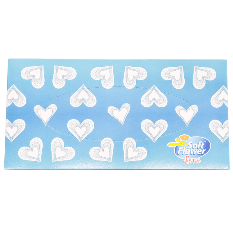 Servetele Cutie Soft 100 Buc